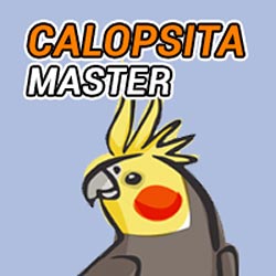 Guia Calopsita Master