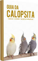 Guia da Calopsita