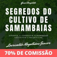 Manual Segredos do Cultivo de Samambaias