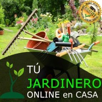Tu Jardinero Online en casa